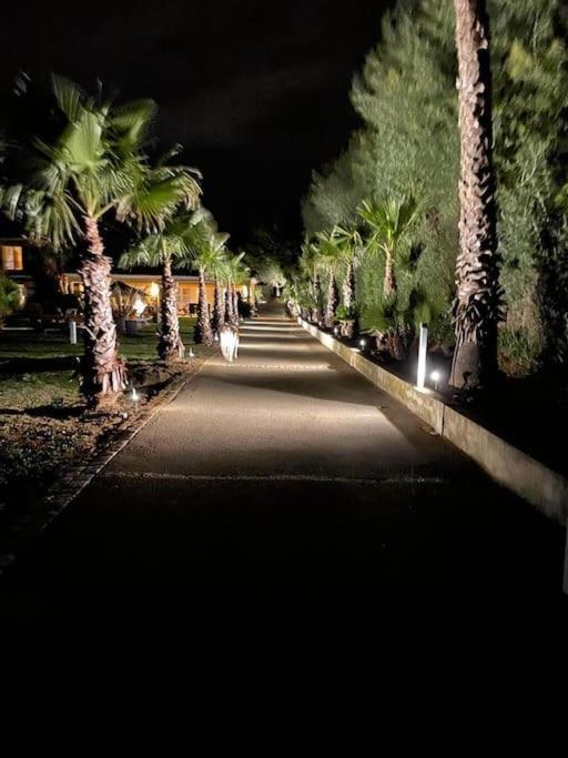 Grande Villa St-Tropez Area Avec Piscine Chauffee Ґассен Екстер'єр фото